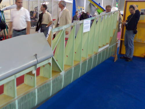 Koka - putuplasta spārna kopskats