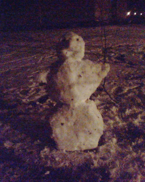 Sniegavīrs ziemas naktī