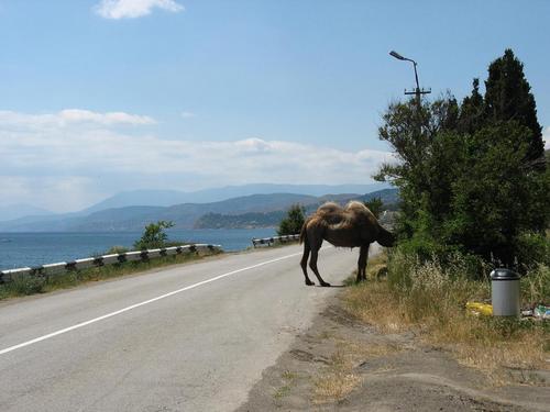 5d/11 - Arī tādi te dzīvo