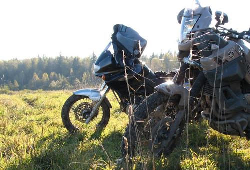 1d/10 - Rudens zirnekļu spīguļi