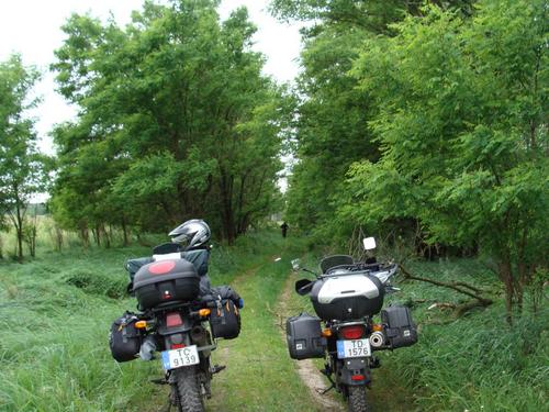 2d/08 - Braucam pa taisno