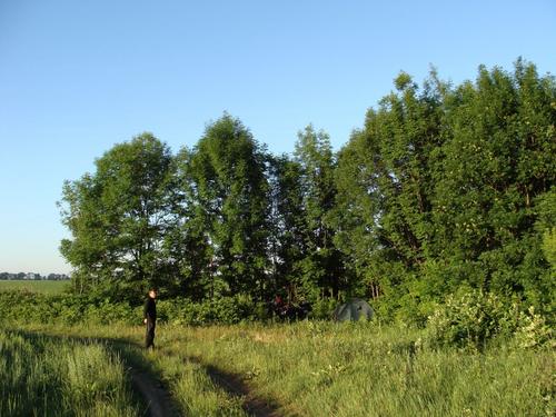 3d/01 - Nakšņošanas vieta no rīta