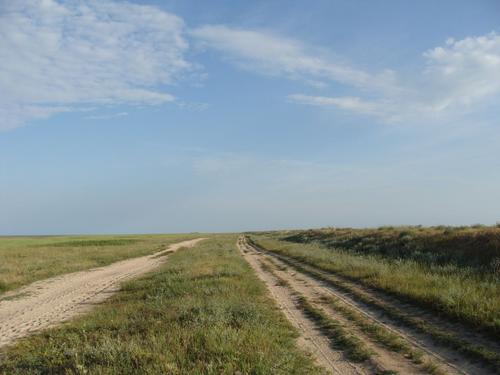 4d/01 - Arbata strēle