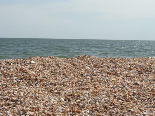 4d/04 - No kā sastāv Arbata strēle