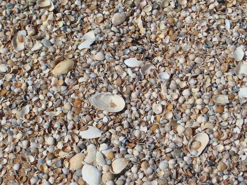 4d/06 - No kā sastāv Arbata strēle