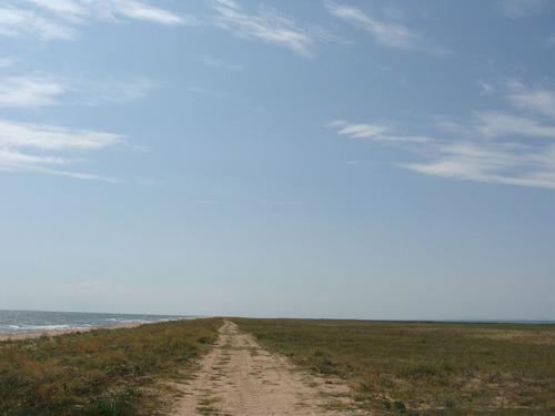 4d/06 - Arbata strēle