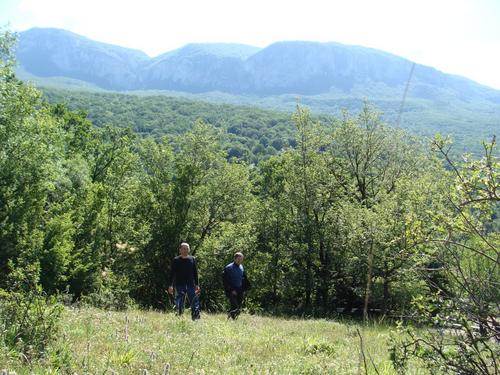 6d/01 - Krimas kanjons